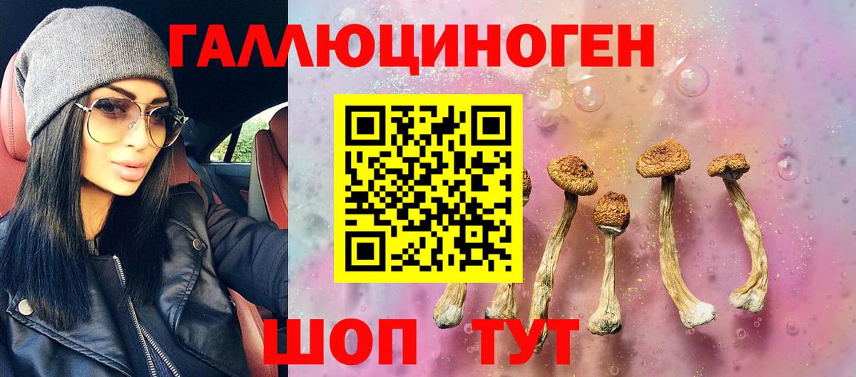 Галлюциногенные грибы GOLDEN TEACHER Самара